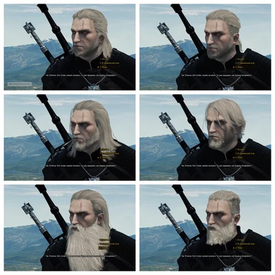 Anyone know of a way/mod to make Geralt's hair and beard color actually  match properly? It bugs me sooo much during dialogue : r/witcher