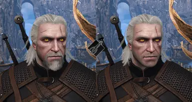 The Witcher 1 Geralt shaved at The Witcher 3 Nexus - Mods and community