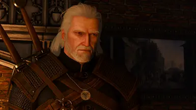 3D Eyebrows for Geralt at The Witcher 3 Nexus - Mods and community