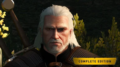3D Eyebrows for Geralt