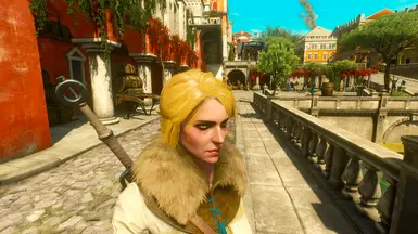 Ciri True Blonde at The Witcher 3 Nexus - Mods and community