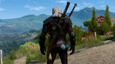 use pocket items witcher 3 pc