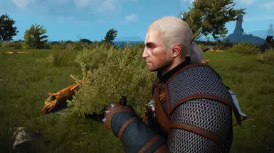 W3EE Redux at The Witcher 3 Nexus - Mods and community