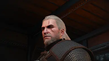 A night to remember Geralt at The Witcher 3 Nexus - Mods and community