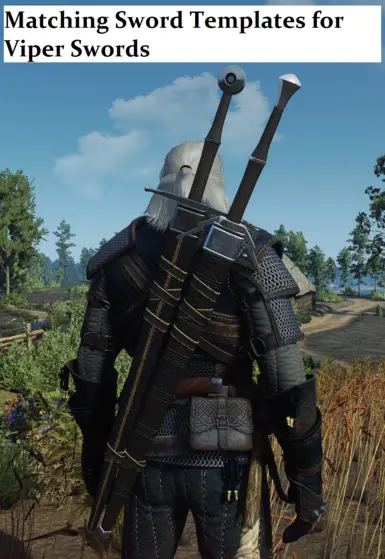 Swap Armour and Swords Appearances at The Witcher Nexus - mods and