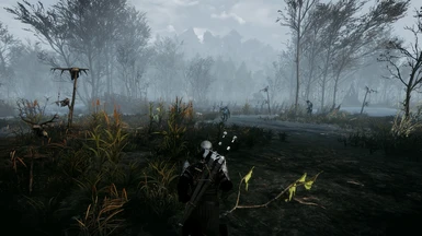 Swamp lighting   Project Destiny 5
