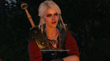 witcher3a Ciri Purple