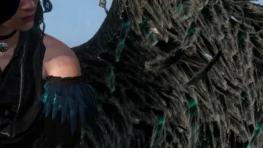 close-up