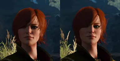 TW1 - New Cute Shani at The Witcher Nexus - mods and community