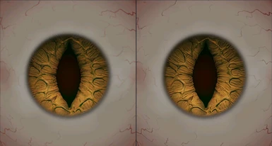 Complete Eye Overhaul - Geralt