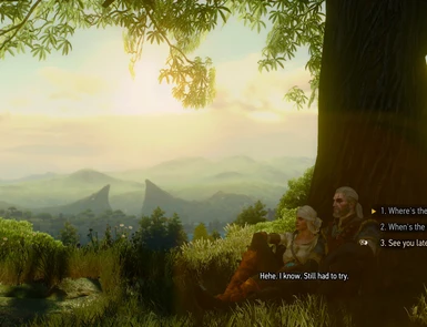 the witcher enhanced edition save game download
