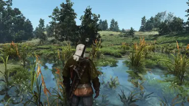 IL Nudel