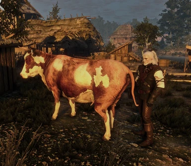 A cow and Geralt
