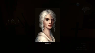 Correct image of Ciri Portrait 01 in Inventory Image Viewer