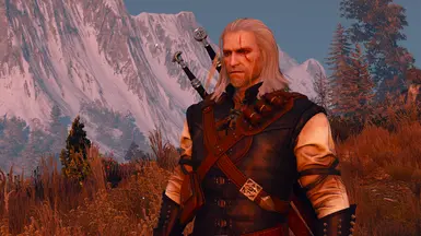 Swap Armour and Swords Appearances at The Witcher Nexus - mods and