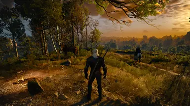 Save NG Plus 100 Begin White Orchard at The Witcher 3 Nexus - Mods and ...