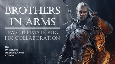 witcher 3 brother in arms