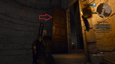 Emhyr's Chamber Door - Bug