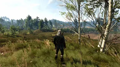 Subtle Fields