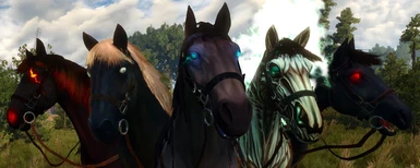 Fera's Tribute Horses