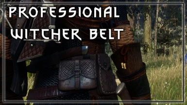 Professional Witcher Belt and Items