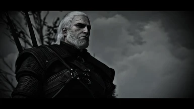 The perfect Killing Monster's Geralt!