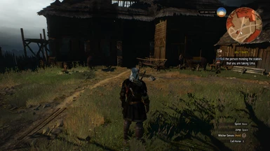 ugly baby witcher 3