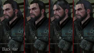 Anyone know of a way/mod to make Geralt's hair and beard color actually  match properly? It bugs me sooo much during dialogue : r/witcher