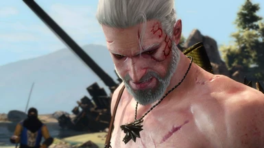 Geralt white beard eyebrows