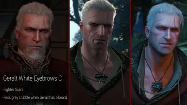 Anyone know of a way/mod to make Geralt's hair and beard color actually  match properly? It bugs me sooo much during dialogue : r/witcher