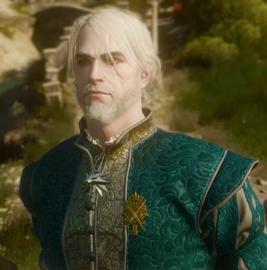 TY Geralt younger Weathered and YoungGeralt V2 NoScar All In One together
