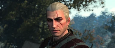 Younger Weathered Normal Maps with El's Geralt <3