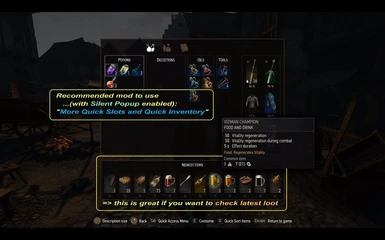 More Quick Slots and Quick Inventory - Quick Inventory feature