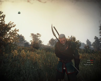 W3EE Redux - Traducao PT-BR at The Witcher 3 Nexus - Mods and