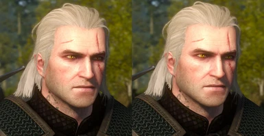 Shiny witcher eyes in a sunlight - Vanilla/Witcher