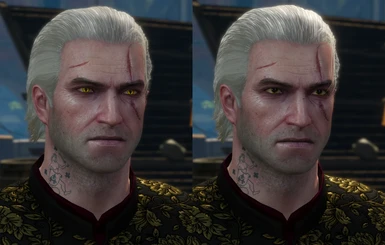 Witcher look - Support Modular Eyes!