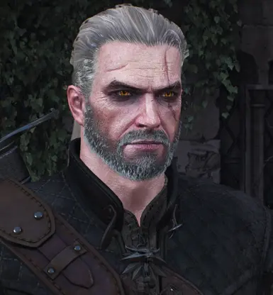 OG Witcher Eyes - Rounded at The Witcher 3 Nexus - Mods and community