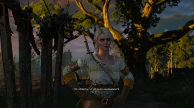 New Quests for The Witcher 3? - wiggolp and Damastor at Nexus mods and  community