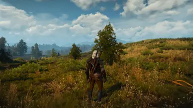 Summer (vanilla)