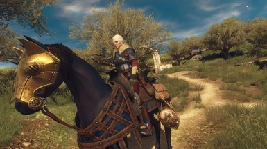 Ciri with new Wolven Armor in Toussaint