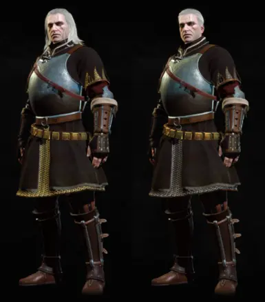 Independent chainmail for armors at The Witcher 3 Nexus - Mods and