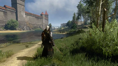 gameplay view
