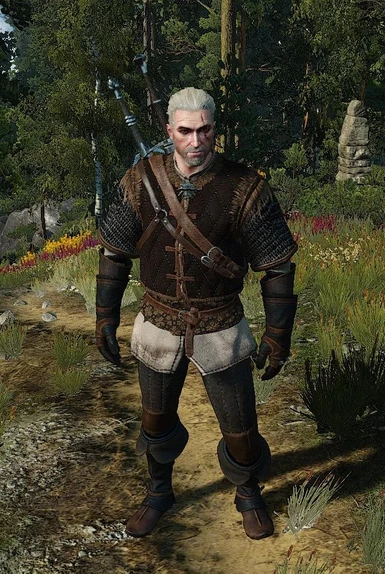 Skellige Gambeson Retexture at The Witcher 3 Nexus - Mods and community