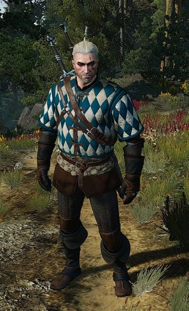 Skellige Gambeson Retexture at The Witcher 3 Nexus - Mods and community