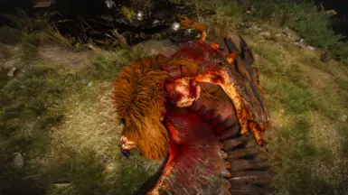 Dead gryphon in White Orchard (Vanilla)