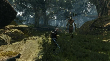 Witcher 3 Ameliorated at The Witcher 3 Nexus - Mods and community