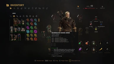 Swap Armour and Swords Appearances at The Witcher Nexus - mods and