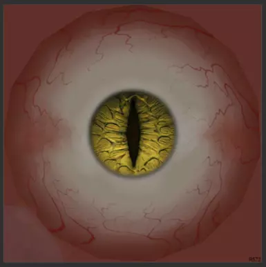 requested texture