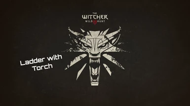 the witcher patch 13
