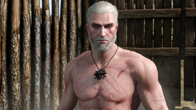 Geralt the Unstoppable - Skip Fist Fighting Quests